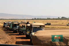 Maasai Mara traffic jam
