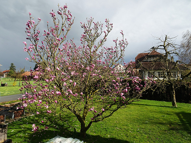 Zwischen den Wetterfronten