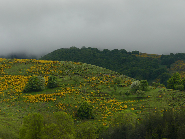 20240525 -28 Rando Vissec tourisme Dourbies Lavogne Blandas (173)