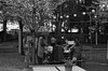 Lunch beneath blossoms