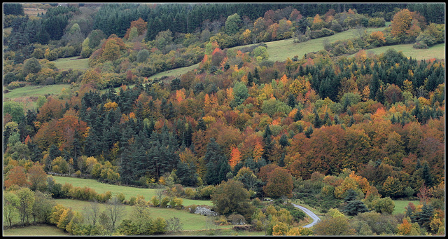 IMG 7719 - Copie