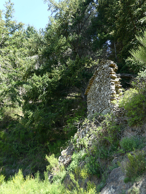 20220501 Rando Le Tayrac (Cevennes) (20)