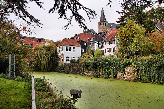 Mühlengraben vor der Altstadt (Essen-Kettwig) / 1.11.2023