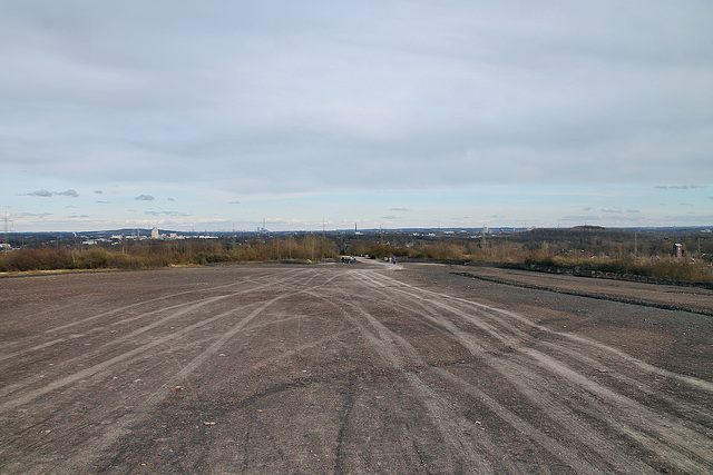 Plateau der Schurenbachhalde (Essen-Altenessen) / 2.03.2024