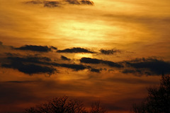 Come Out, Come Out Come Out, Come Out