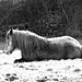 Dormir éveillée ;-) [EXPLORER]
