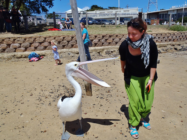 Phillip Island with Jennifer & William