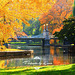 Fall Season Boston Common