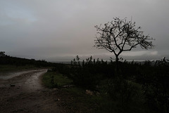 Penedos, Rainy evening