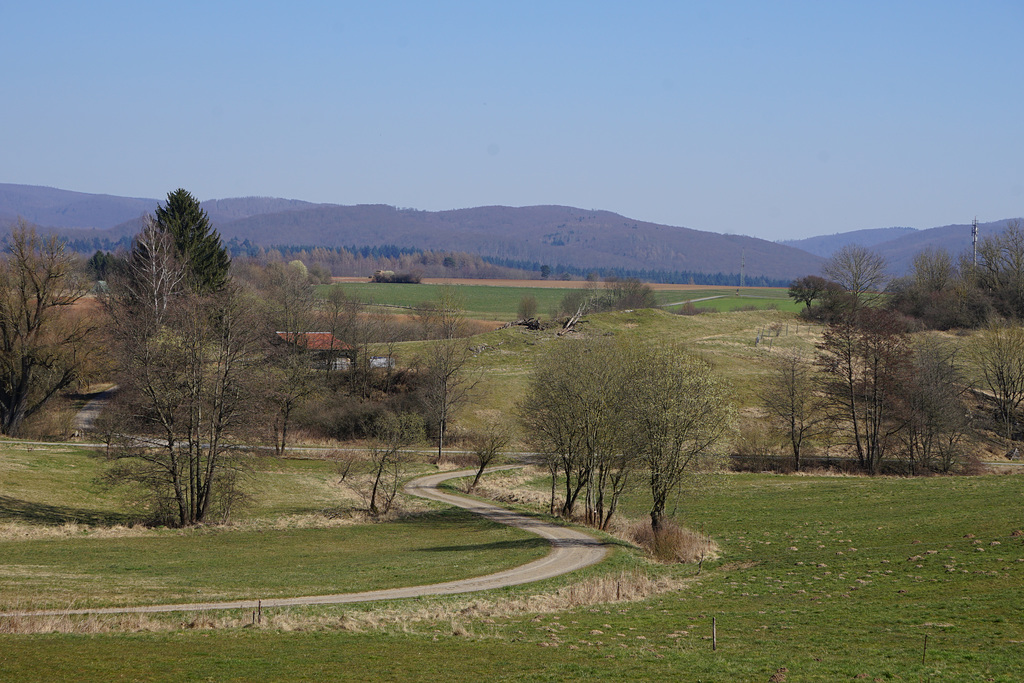 Harzblick im März