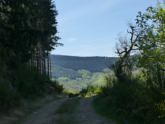 20220501 Rando Le Tayrac (Cevennes) (22)