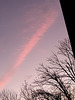 Ciel rose***************