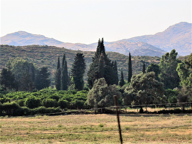 The landscape around Yashi