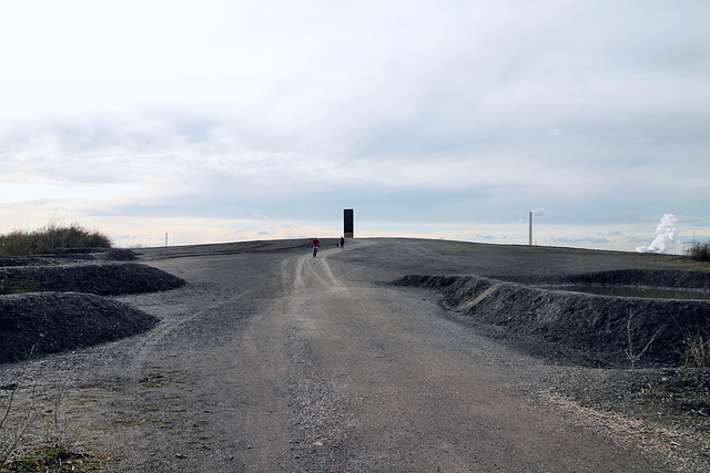 Plateau der Schurenbachhalde (Essen-Altenessen) / 2.03.2024