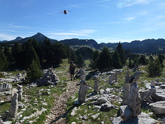 20150828 -30 La chapelle en Vercors Rando-Spéléo (10)