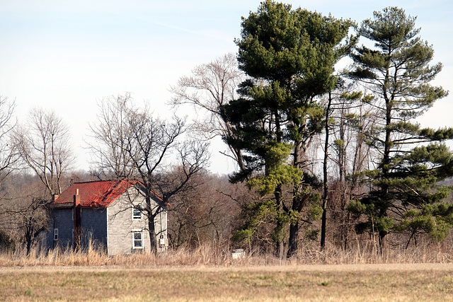 An old homestead