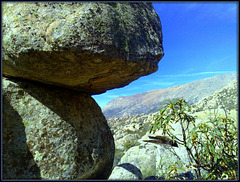 Granite.  Sierra de La Cabrera