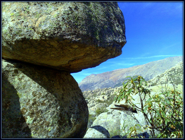 Granite.  Sierra de La Cabrera