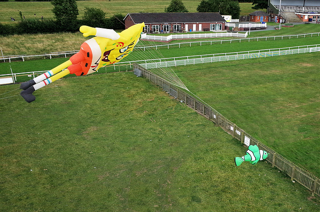 Beverley Kite Festival 2016 (359)