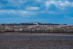 Hilbre Island