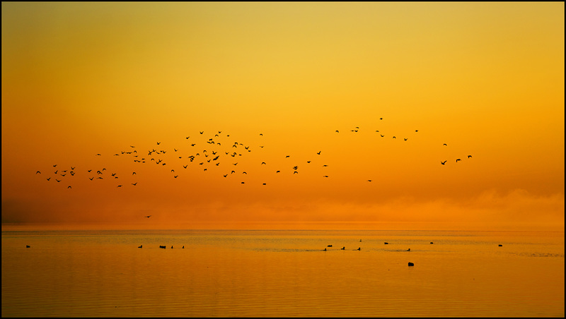 Der Vögel froher Frühchoral begrüßt des Lichtes Spur