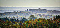 Beacon Hill Woodhouse Leicestershire 27th October 2024