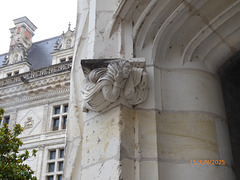 chateau de BLOIS 1/3
