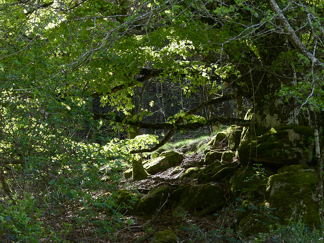 20220501 Rando Le Tayrac (Cevennes) (26)