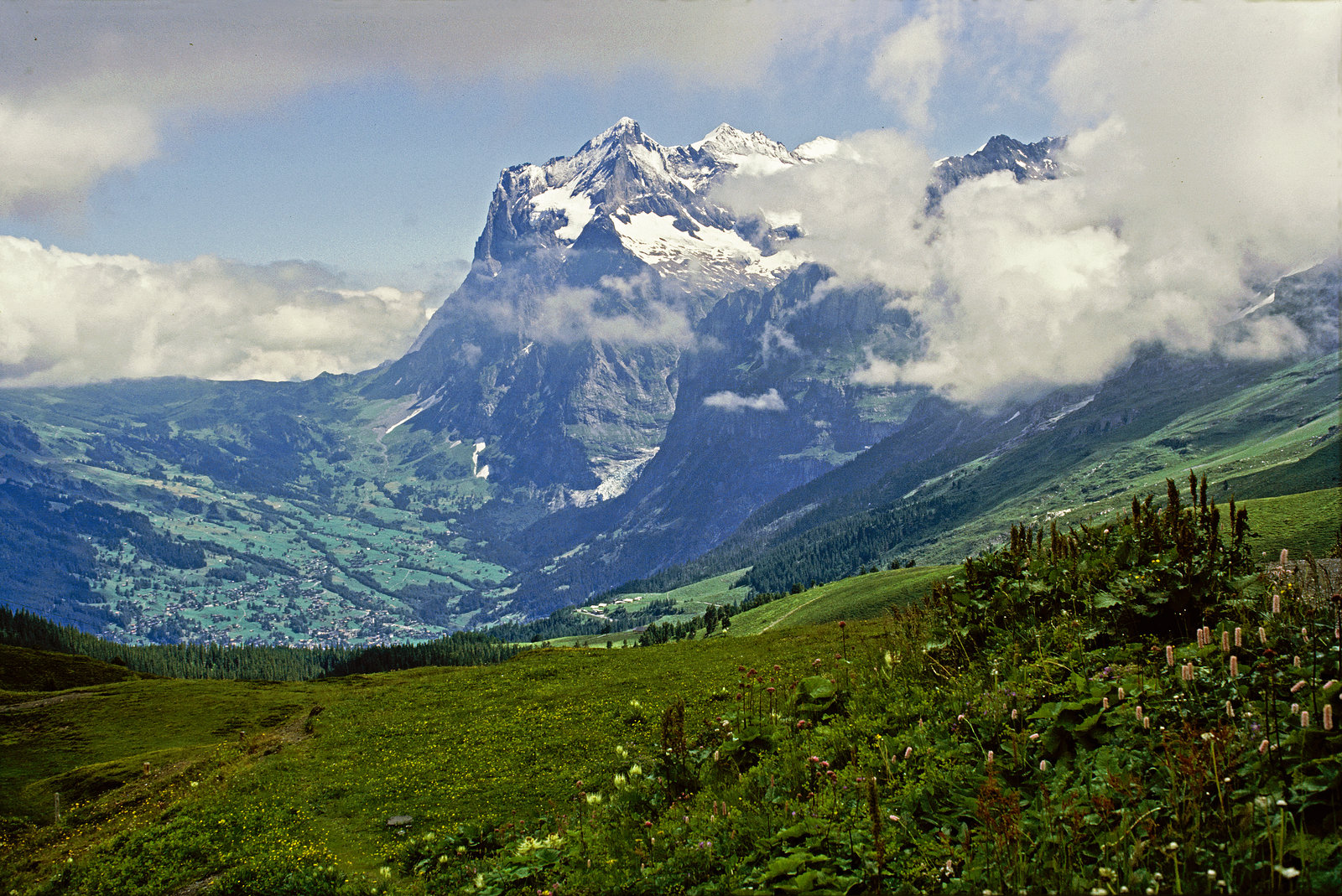 Around Kleine Scheidegg_Switzerland