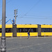Straßenbahn in Dresden