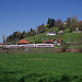 BÖ0036864