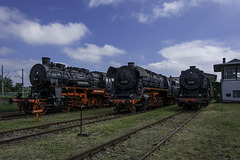 Güterzugmaschinen - präsentiert zum 24. Heizhausfest