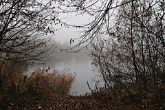 ... mit Nebel