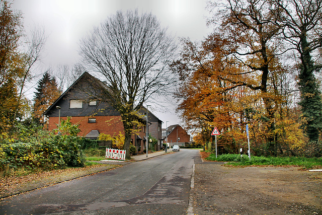 Sternstraße (Oberhausen-Holten) / 20.11.2021