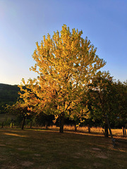 Ce matin/ This morning [EXPLORER]