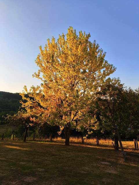 Ce matin/ This morning [EXPLORER]