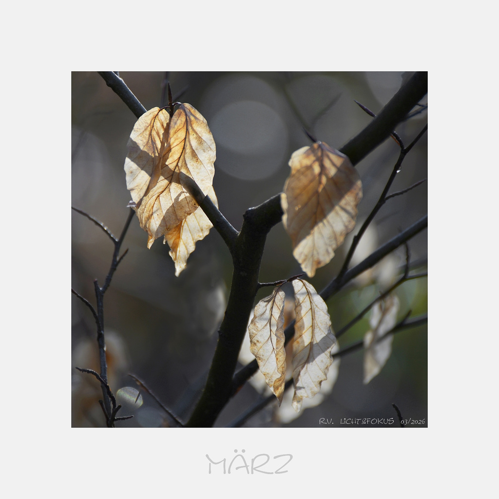 März