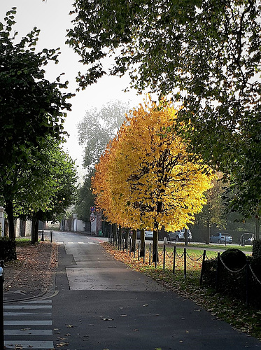 couleur d'automne