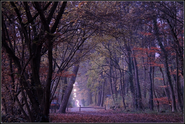 Living Tunnel