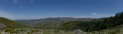 20220501 Rando Le Tayrac (Cevennes) (38)