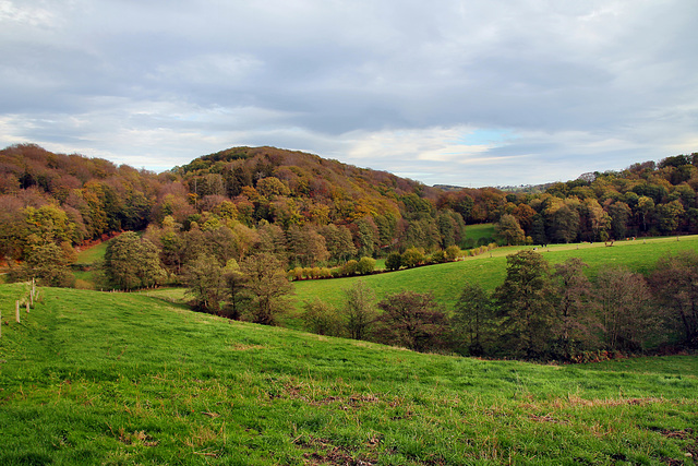 Blick über das Felderbachtal zwischen Sprockhövel und Hattingen / 6.11.2022