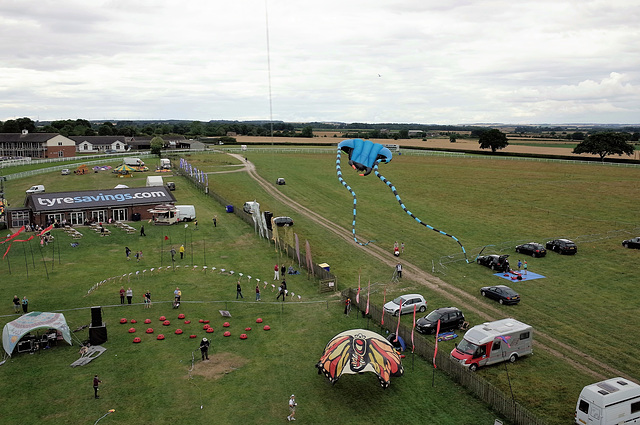 Beverley Kite Festival 2016 (448)