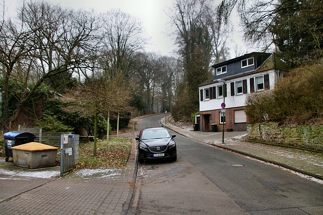 Holthuser Tal (Essen-Überruhr) / 25.01.2019