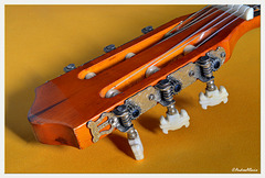 Head of classic guitar
