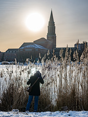 Through the reed