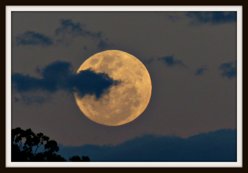 Super Moon November 2016