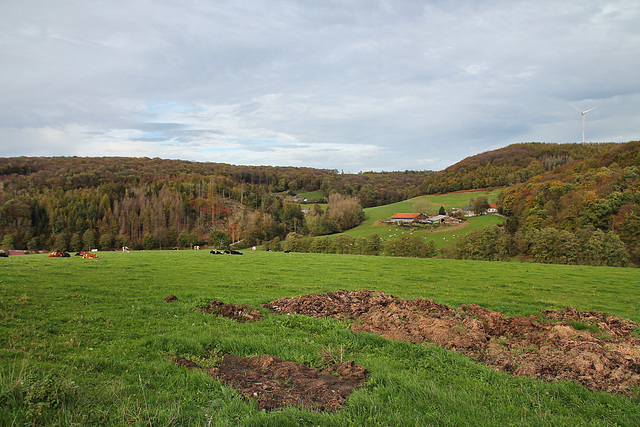 Blick über das Felderbachtal zwischen Sprockhövel und Hattingen / 6.11.2022