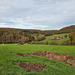 Blick über das Felderbachtal zwischen Sprockhövel und Hattingen / 6.11.2022