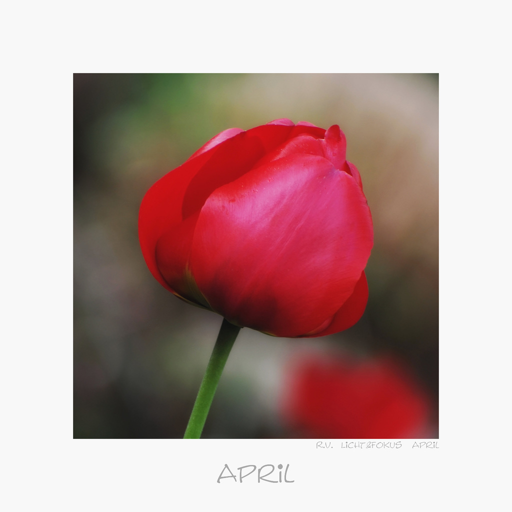 April