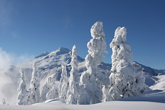 Mount Baker